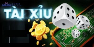 Mẹo đặt cược tài xỉu hiệu quả nhất 