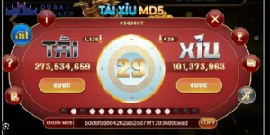 Nắm rõ luật chơi và cách hoạt động của game